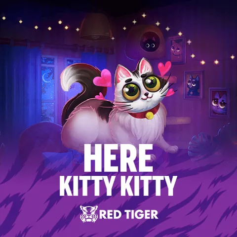 Here Kitty Kitty oyununun kapak görseli